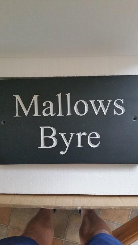Mallows Byre Yetminster 셔번 외부 사진